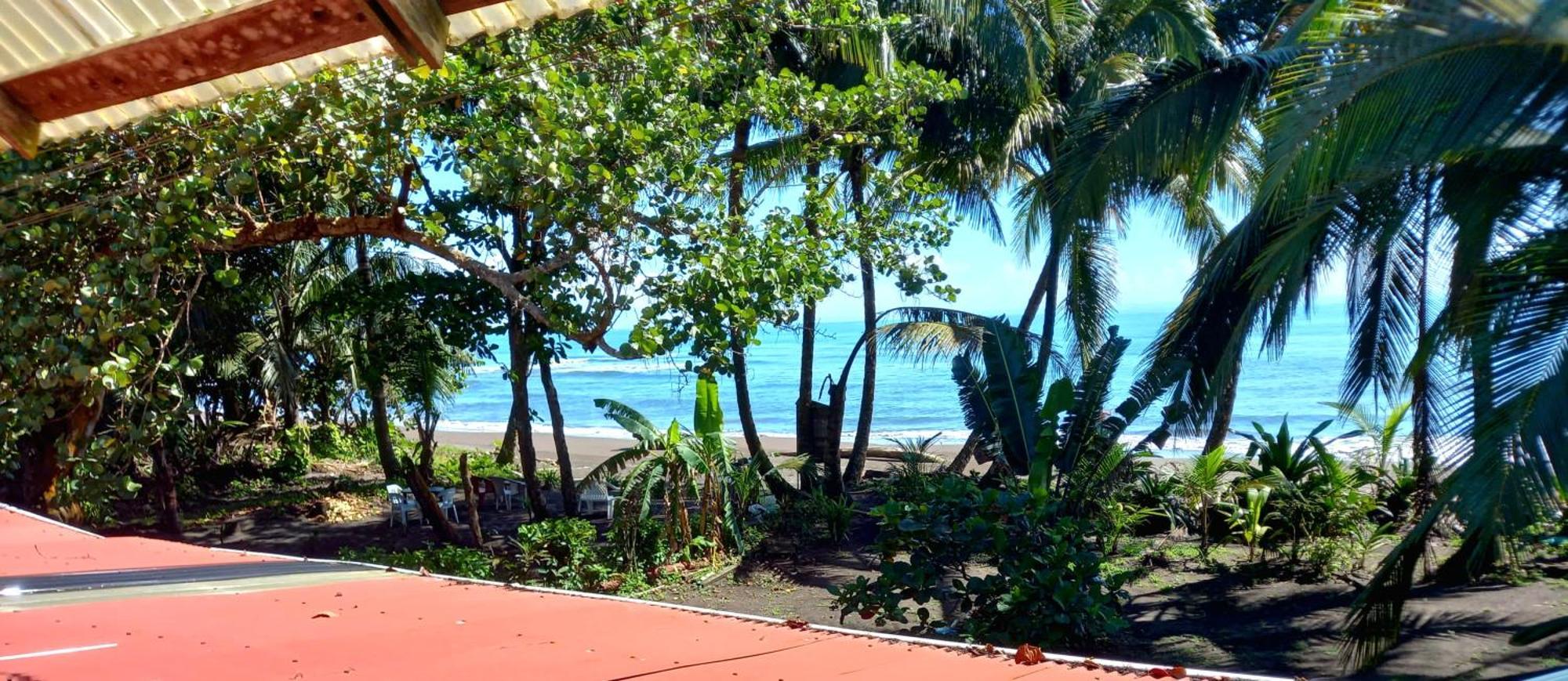 Tortuguero Adventures Beach House Zewnętrze zdjęcie