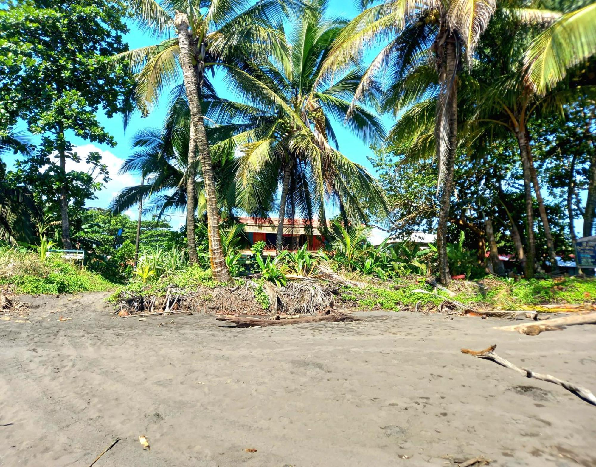 Tortuguero Adventures Beach House Zewnętrze zdjęcie