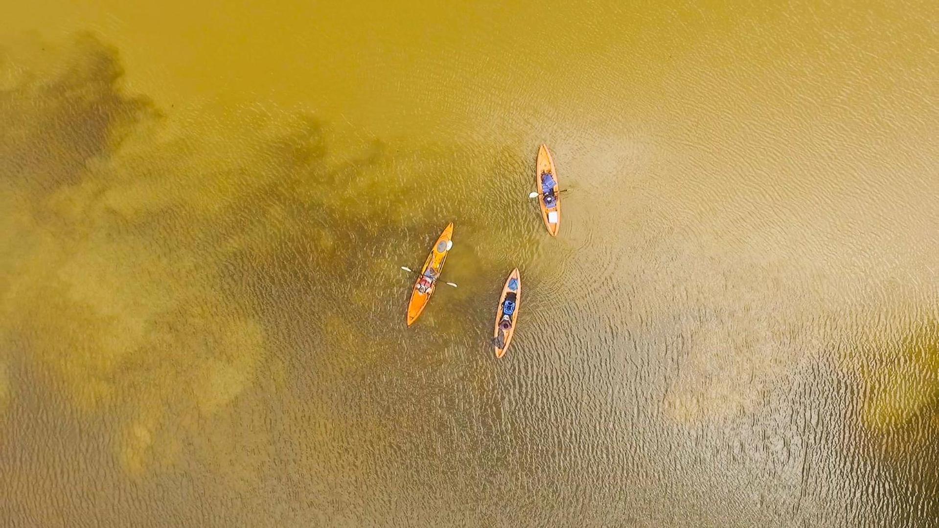 Tortuguero Adventures Beach House Zewnętrze zdjęcie