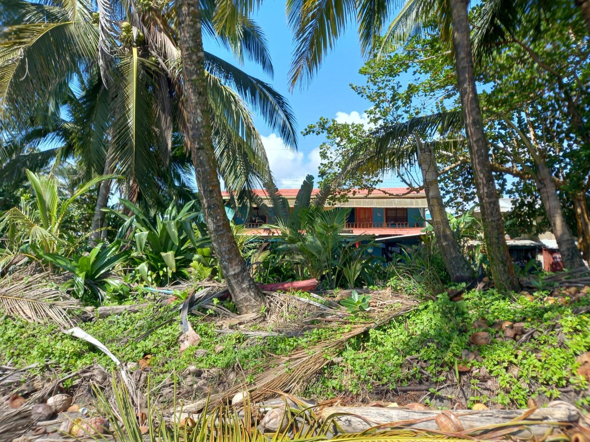 Tortuguero Adventures Beach House Zewnętrze zdjęcie