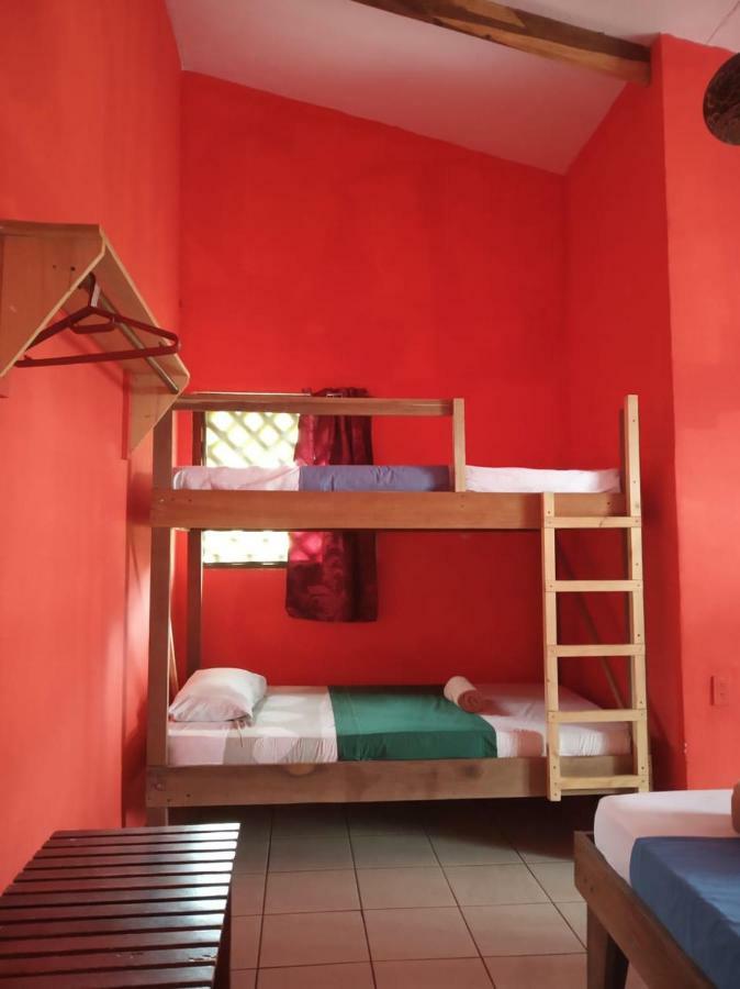 Tortuguero Adventures Beach House Zewnętrze zdjęcie