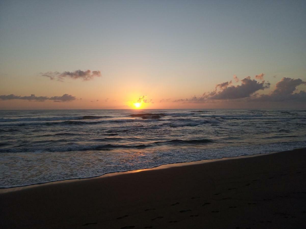 Tortuguero Adventures Beach House Zewnętrze zdjęcie