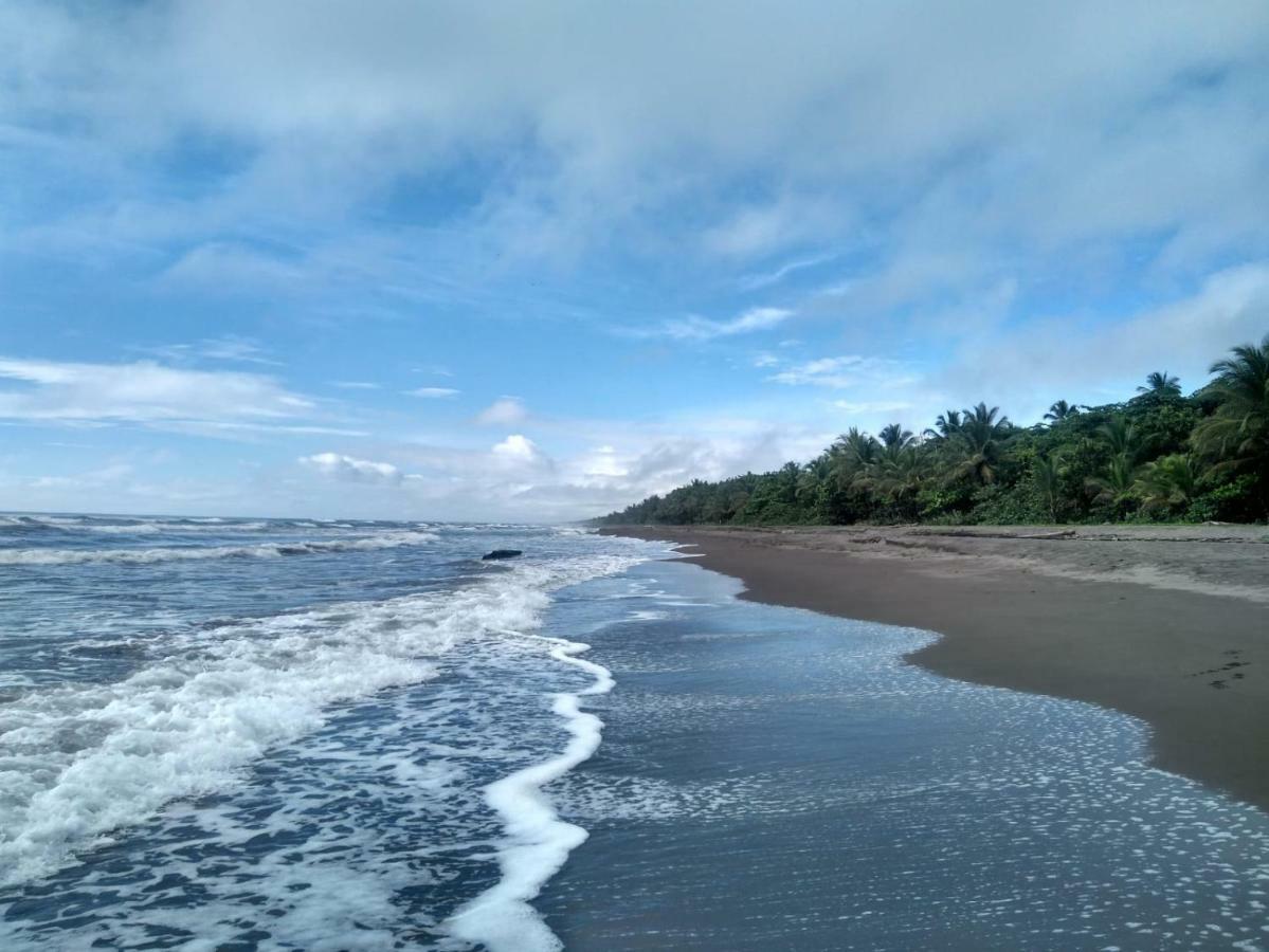 Tortuguero Adventures Beach House Zewnętrze zdjęcie