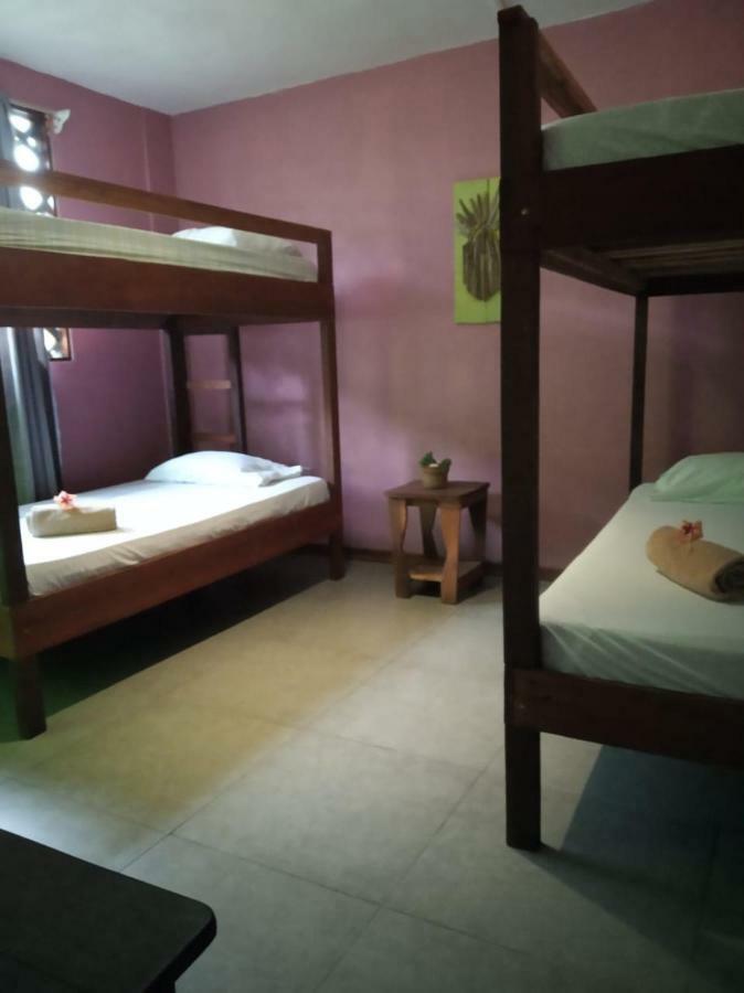 Tortuguero Adventures Beach House Zewnętrze zdjęcie